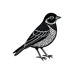 Obraz premium Isolated small brown sparrow bird with white feathers on a branch in nature