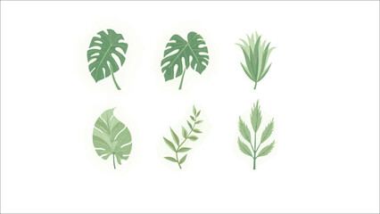 collection of green leaves