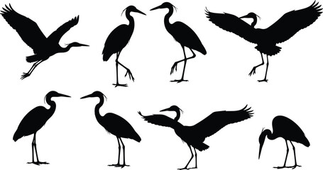 Naklejka premium Vector set of heron silhouettes, standing and flying wading birds isolated on white background, egret flock illustration for wildlife nature design