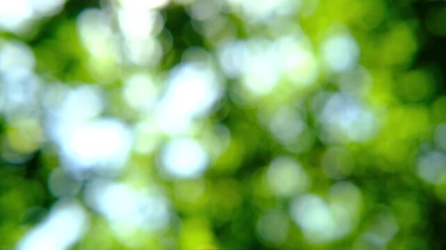 Abstract Green Bokeh Background with Floating Dots &ndash; Seamless Loop Motion