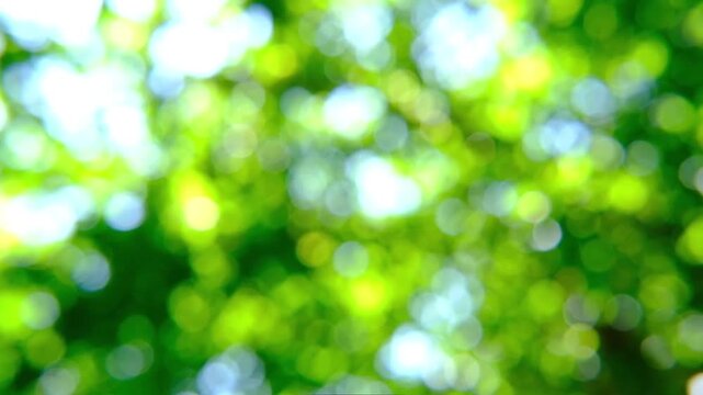 Abstract Green Bokeh Background with Floating Dots &ndash; Seamless Loop Motion