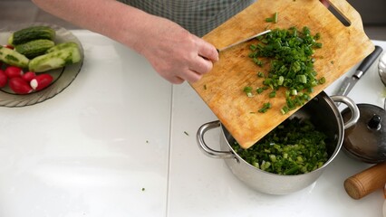 Person chopping fresh green onions in kitchen