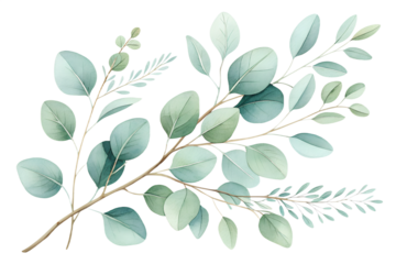 A delicate watercolor set of eucalyptus branches painted in soft green tones. Each element is isolated on a transparent background, perfect for wedding invitations, botanical compositions, branding, n
