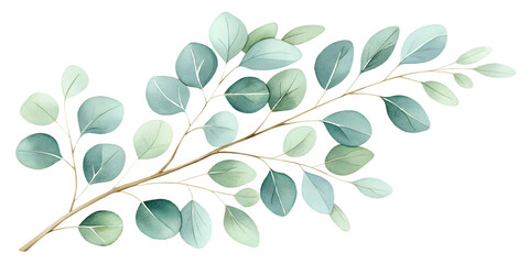 Naklejka premium A delicate watercolor set of eucalyptus branches painted in soft green tones. Each element is isolated on a transparent background, perfect for wedding invitations, botanical compositions, branding, n