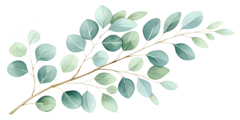 A delicate watercolor set of eucalyptus branches painted in soft green tones. Each element is isolated on a transparent background, perfect for wedding invitations, botanical compositions, branding, n