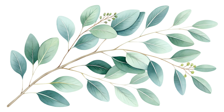 A delicate watercolor set of eucalyptus branches painted in soft green tones. Each element is isolated on a transparent background, perfect for wedding invitations, botanical compositions, branding, n