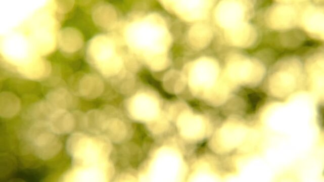 Beautiful yellow natural video bokeh abstract background. abstract green light background