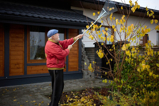 Senior man raking leaves in his yard during autumn near a charming wooden house