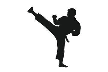 Dynamic silhouette of a martial arts fighter executing a powerful high kick