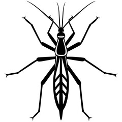 stick insect silhouette