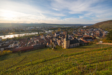 Klingenberg am Main im warmen Licht der tief stehenden Sonne