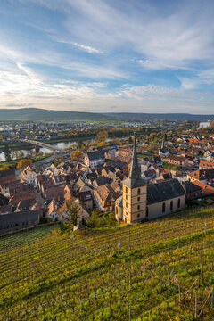 Klingenberg am Main im warmen Licht der tief stehenden Sonne