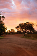 Amazing sunset in the forest