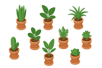 Collection of different potted indoor plants and succulents for home decor