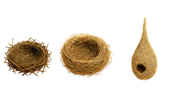 Collection of three different bird nests made from natural materials isolated on white
