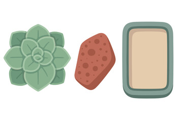 Flat lay arrangement of cosmetic products and a decorative succulent plant on a clean background