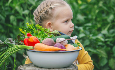 A little girl holds a large bowl of freshly picked, organic vegetables from the garden.