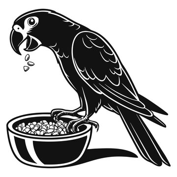 vector illustration of a parrot
