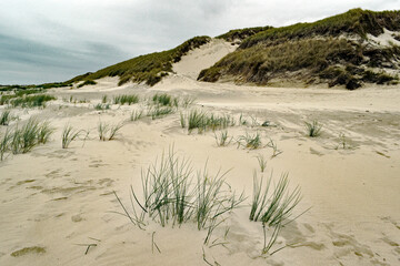 auf der Insel Amrum