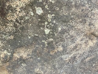 Close-up shot of a rough, textured stone surface. The image showcases the natural grain and imperfections of the rock