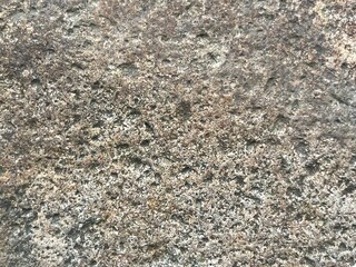 Close-up shot of a rough, textured stone surface. The image showcases the natural grain and imperfections of the rock