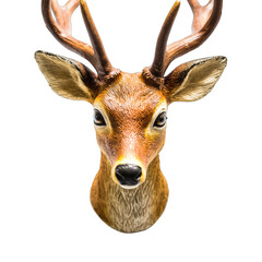 Deer Head Bust with Antlers and Brown Fur Against a Transparent Background Studio Shot