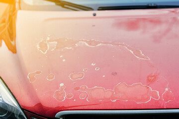 Close detail of red car hood with peeling clear coat and faded paint surface, deterioration,...