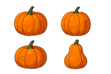 Assortment of orange pumpkins featuring different shapes and sizes for seasonal holidays