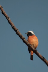 東京港区南青山2丁目の風景