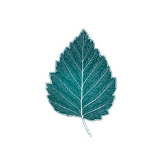 Single Leaf Icon Outline Isolated on Black Background with Contrasting Colors for Nature Inspired Designs and Creative Projects