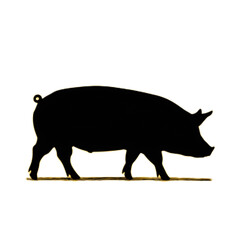 Isolated Silhouette of a Single Pig on a Contrasting Background, Perfect for Creative Projects and Illustrations