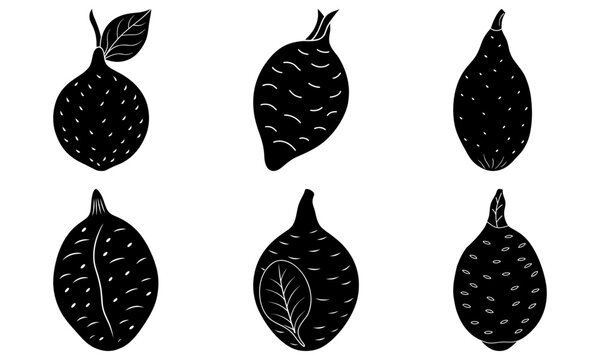 Illustration of six finger lime fruits in black and white with unique shapes and textures shown clearly