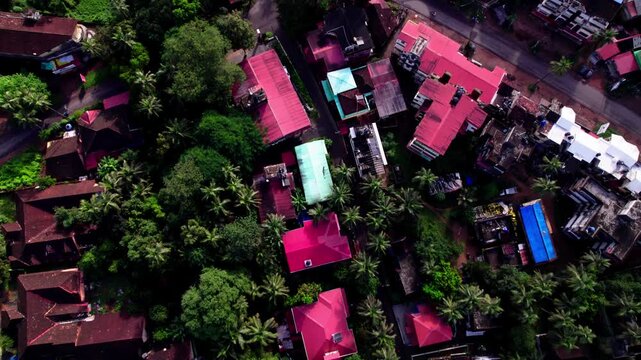 Portuguese designs houses with trees and roads. day time, top down shot, push in shot, drone shot, 4k.