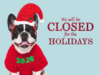 We will be closed for the Holidays. Cute puppy and Santa hat