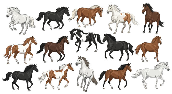 A collection of horses with different colors and markings.