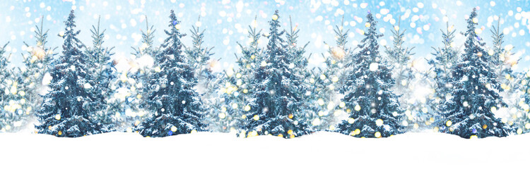 Collage. Trees in the snow. Winter forest. Christmas ornament. Congratulation.