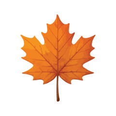 A vibrant watercolor illustration of a single autumn maple leaf on white