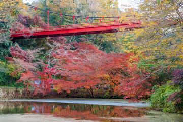 紅葉の秋