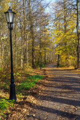 Park Pszczyna ze śląskiego rodu Promnitzów © rob