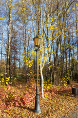 Park Pszczyna ze śląskiego rodu Promnitzów © rob