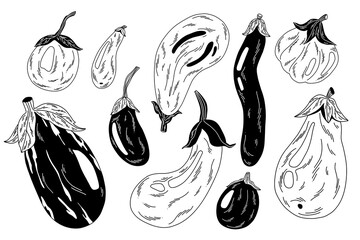 a collection of contour eggplants with white decorative lines