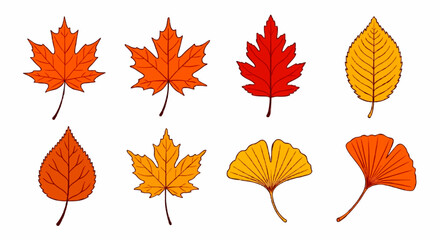 Fototapeta premium A collection of eight vibrantly colored autumn leaves, including maple, oak, and ginkgo varieties, illustrated on a clean white background.