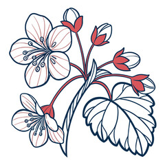 Fototapeta premium Begonia Flower Art with Red Buds and Veined Leaves