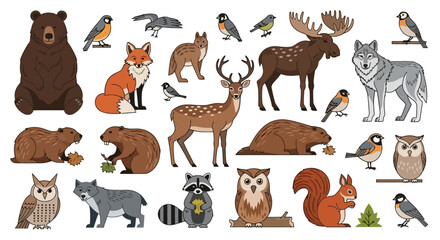 A collection of various cartoon-style woodland and forest animals isolated on a white background. © deni