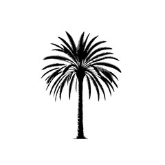 Date Palm Tree Tropical Vector Design Illustration