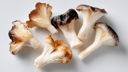 Fresh gourmet mushrooms arranged artistically on a clean white background, showcasing their unique textures and colors, perfect for culinary presentations and food photography