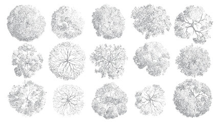 Fototapeta na wymiar Collection of fifteen diverse grey dot art tree tops viewed from directly above in a top down perspective on a white background