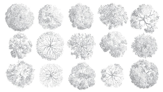 Collection of fifteen diverse grey dot art tree tops viewed from directly above in a top down perspective on a white background
