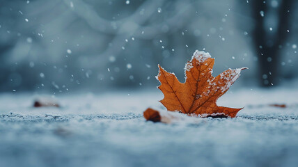 Single, orange maple leaf covered lightly with fresh snow, resting on frozen ground during a soft winter snowfall