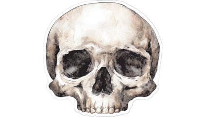A bold skull patch sticker is displayed with clear edges and strong graphic style creating a striking emblem on white background